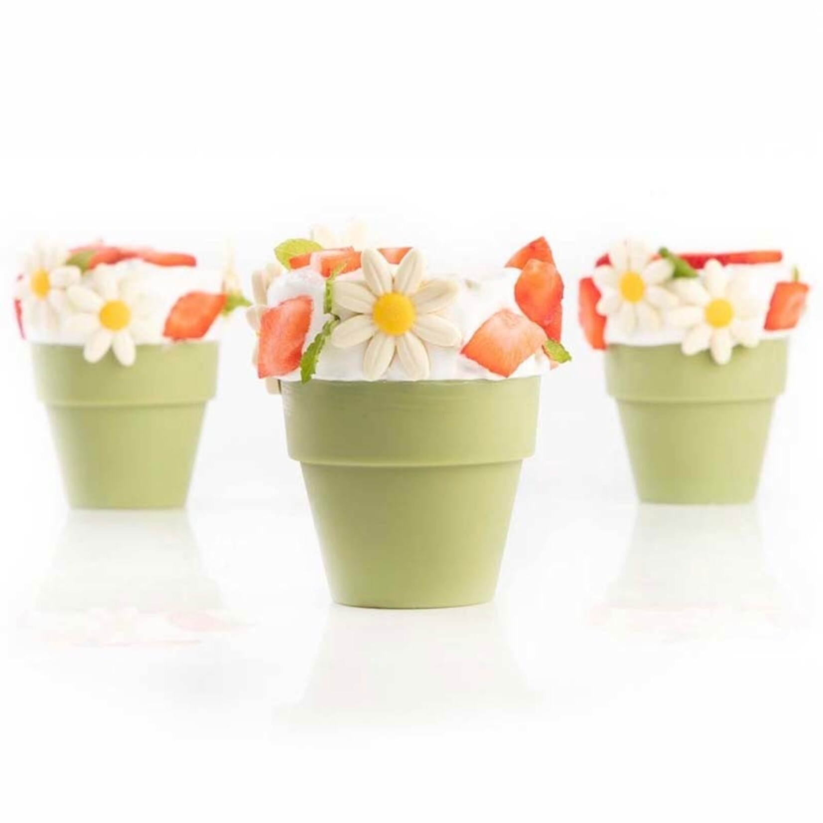 Dobla Dobla - White Chocolate Daisy XL (108 ct)