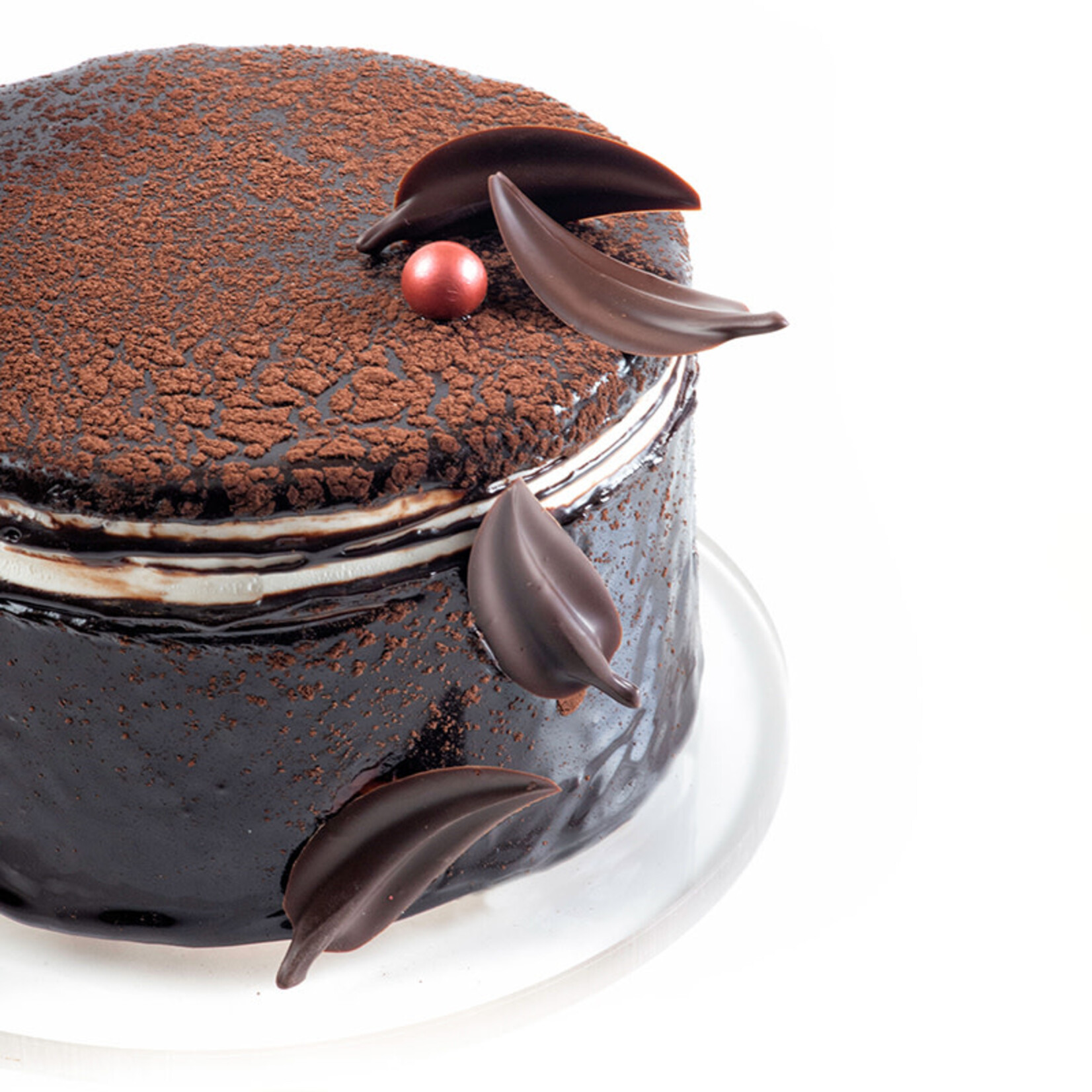 Cacao Noel Noel - Dark Chocolate Curvy Elegance (128 ct)