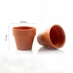 Dobla Dobla - Terracotta Chocolate Flower Pot Medium (66 ct)