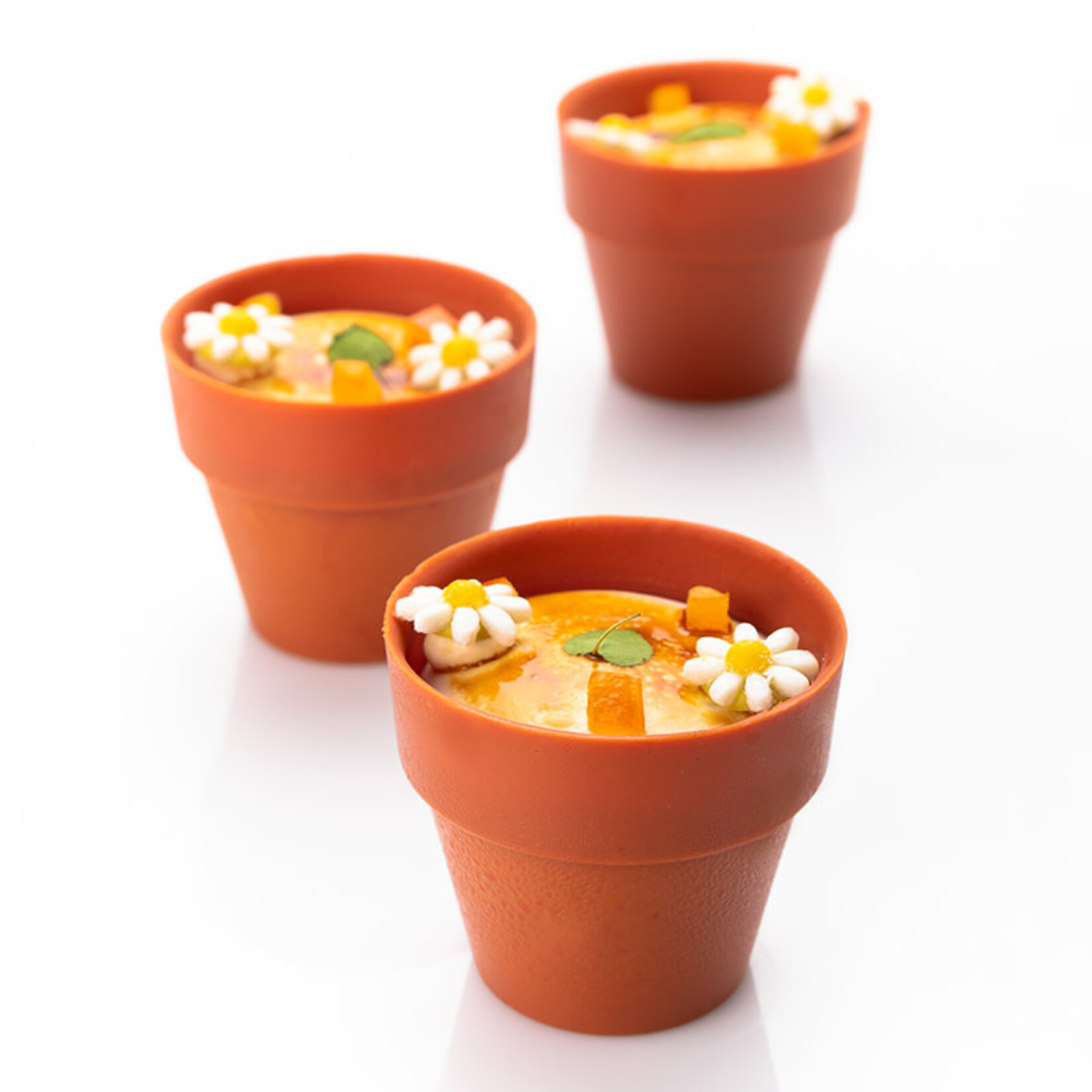 Dobla Dobla - Terracotta Chocolate Flower Pot Medium (66 ct)