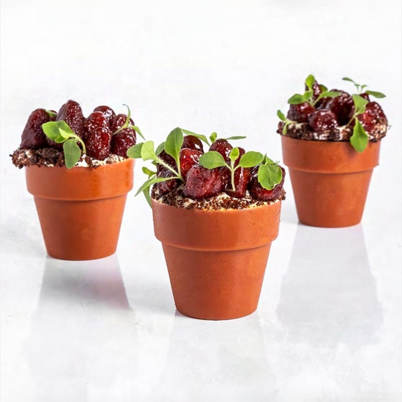 Dobla Dobla - Terracotta Chocolate Flower Pot Medium (66 ct)