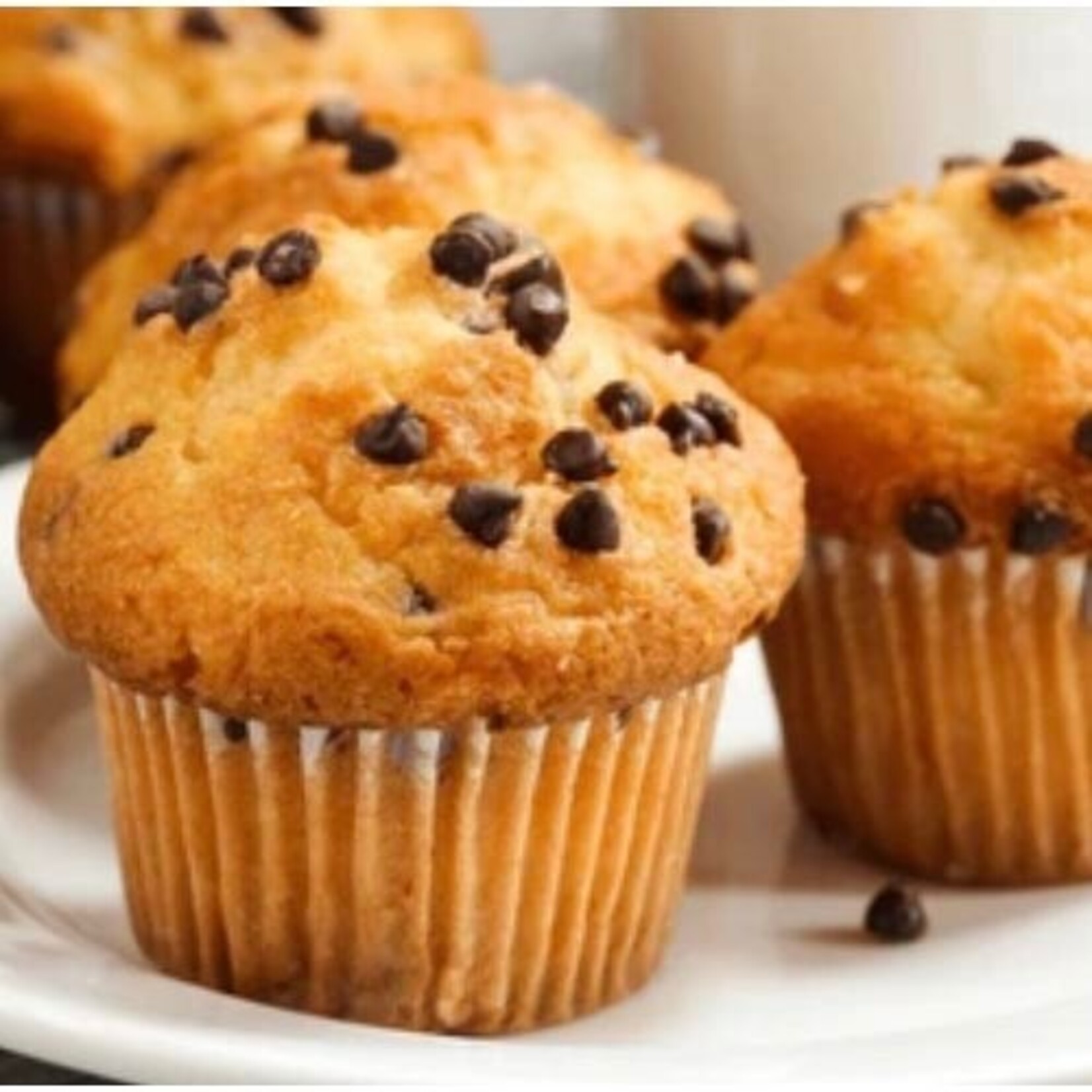 Van Leer Van Leer - Semi Sweet Mini Chocolate Chips 43% - 22 lb (4000 ct)