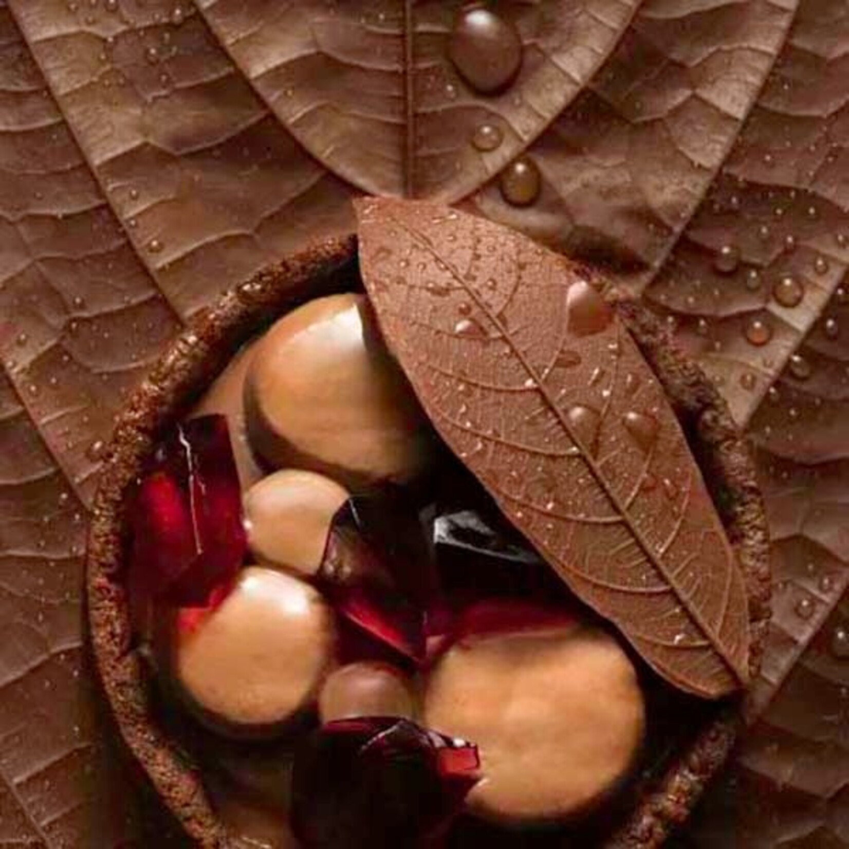 Valrhona Valrhona - Amatika Vegan Milk Chocolate 46% - 6.6 lb