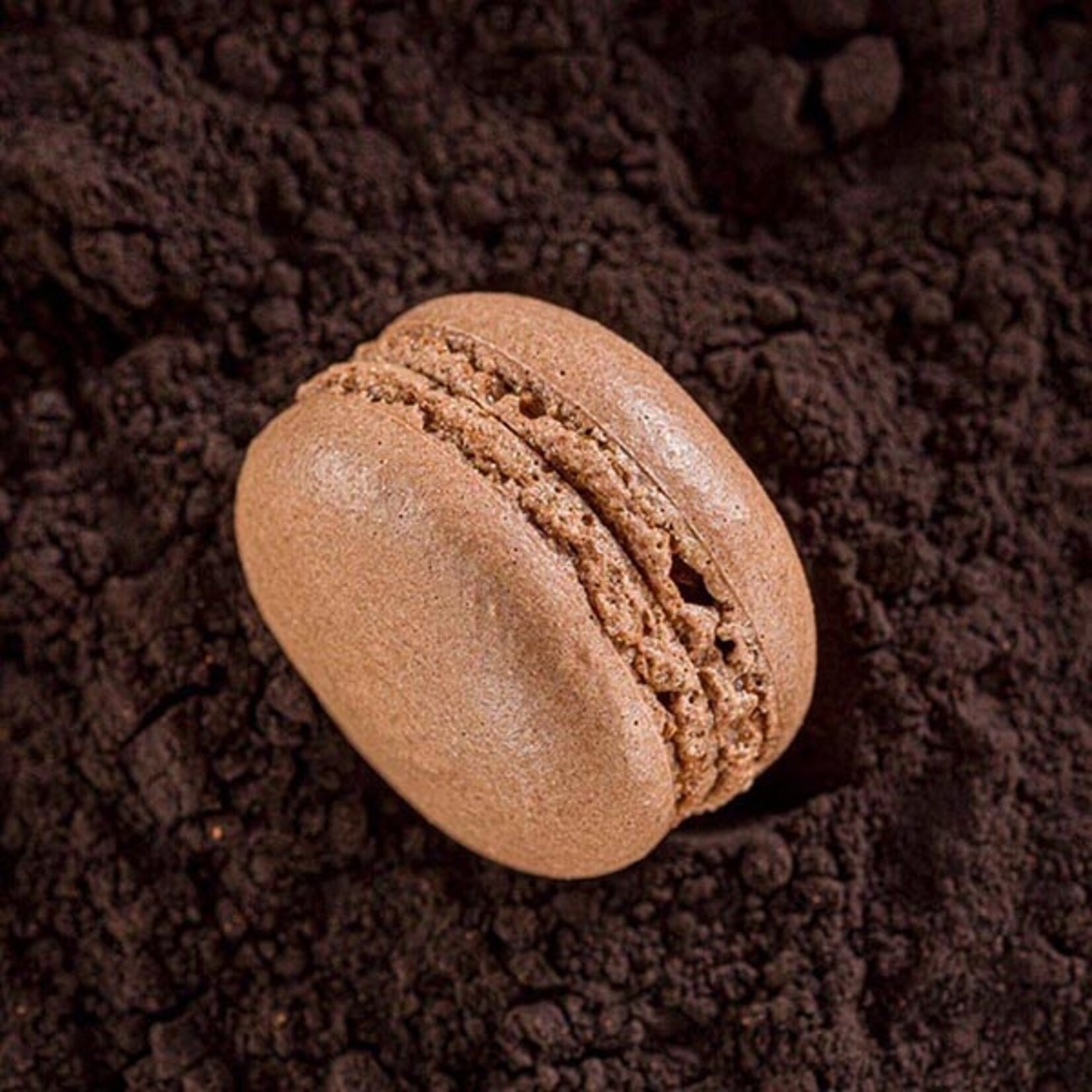 Cacao Barry Cacao Barry - Legere Cocoa Powder 1% - 1.7 lb
