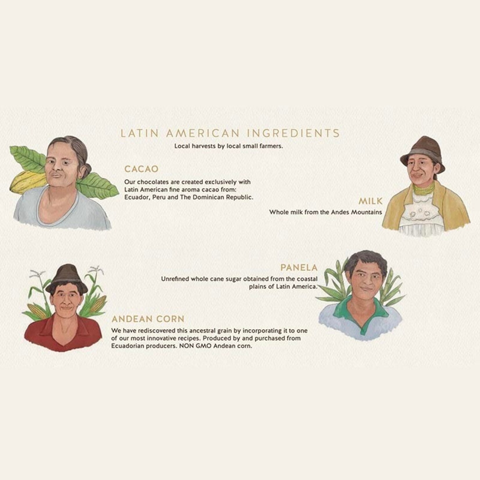 Republica del Cacao Republica del Cacao - Ecuador Dark Chocolate 65% - 16.5 lb