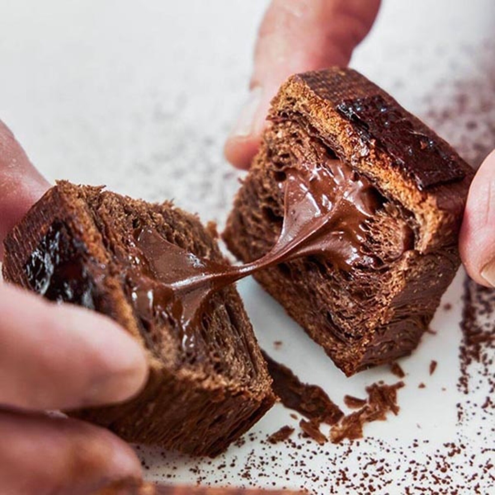 Callebaut Callebaut - Plein Arome Cocoa Powder 22-24% - 2.2 lb (box of 6)