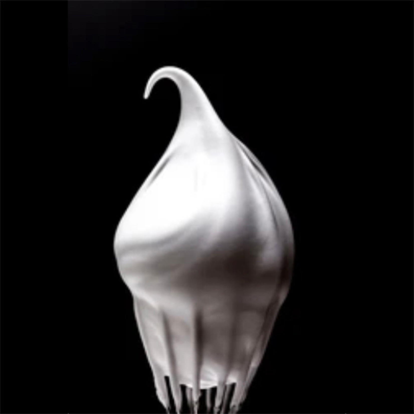 Cuisine Tech Cuisine Tech - Egg White Powder - 1 lb