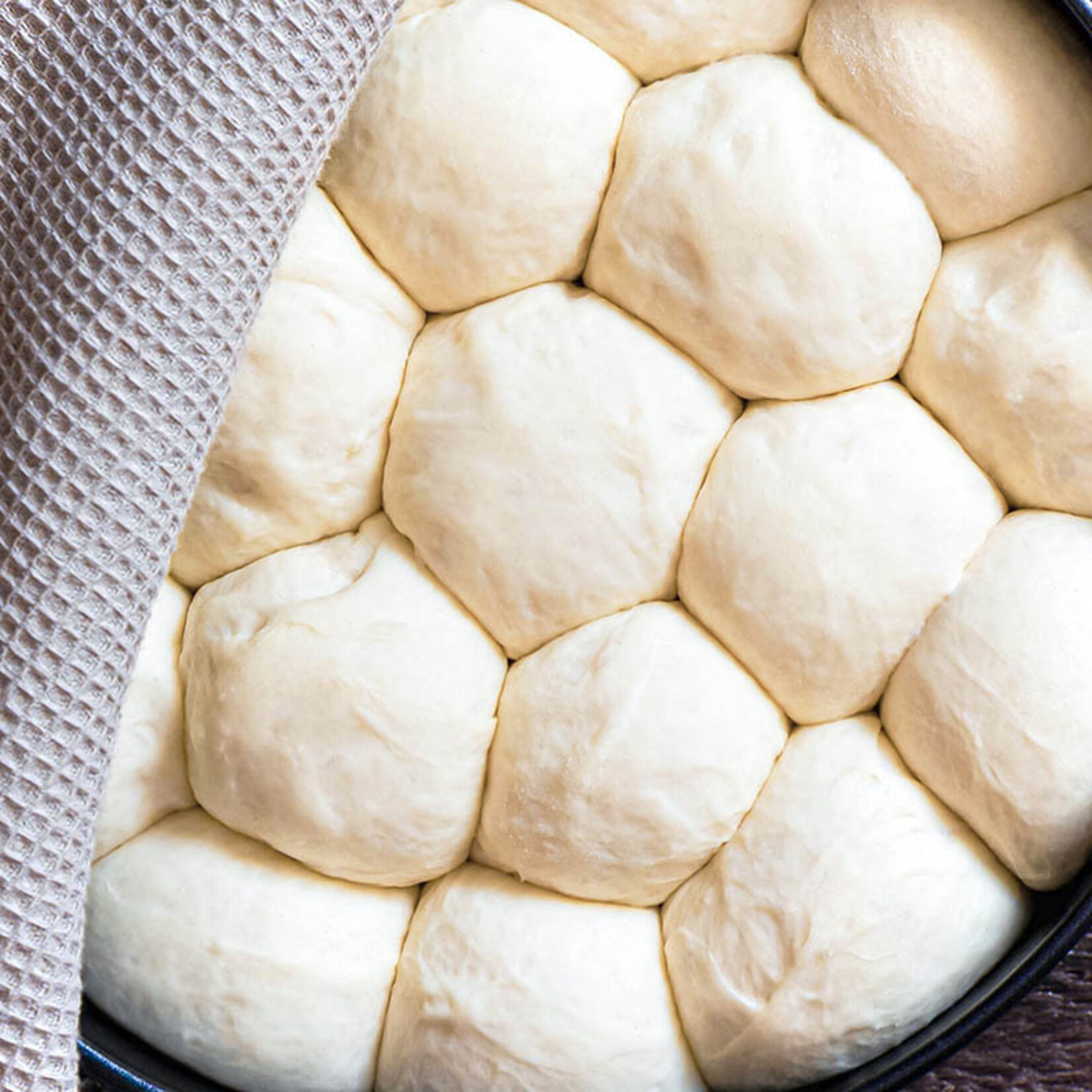 Cuisine Tech Cuisine Tech - Sodium Alginate - 1 lb (box of 6)