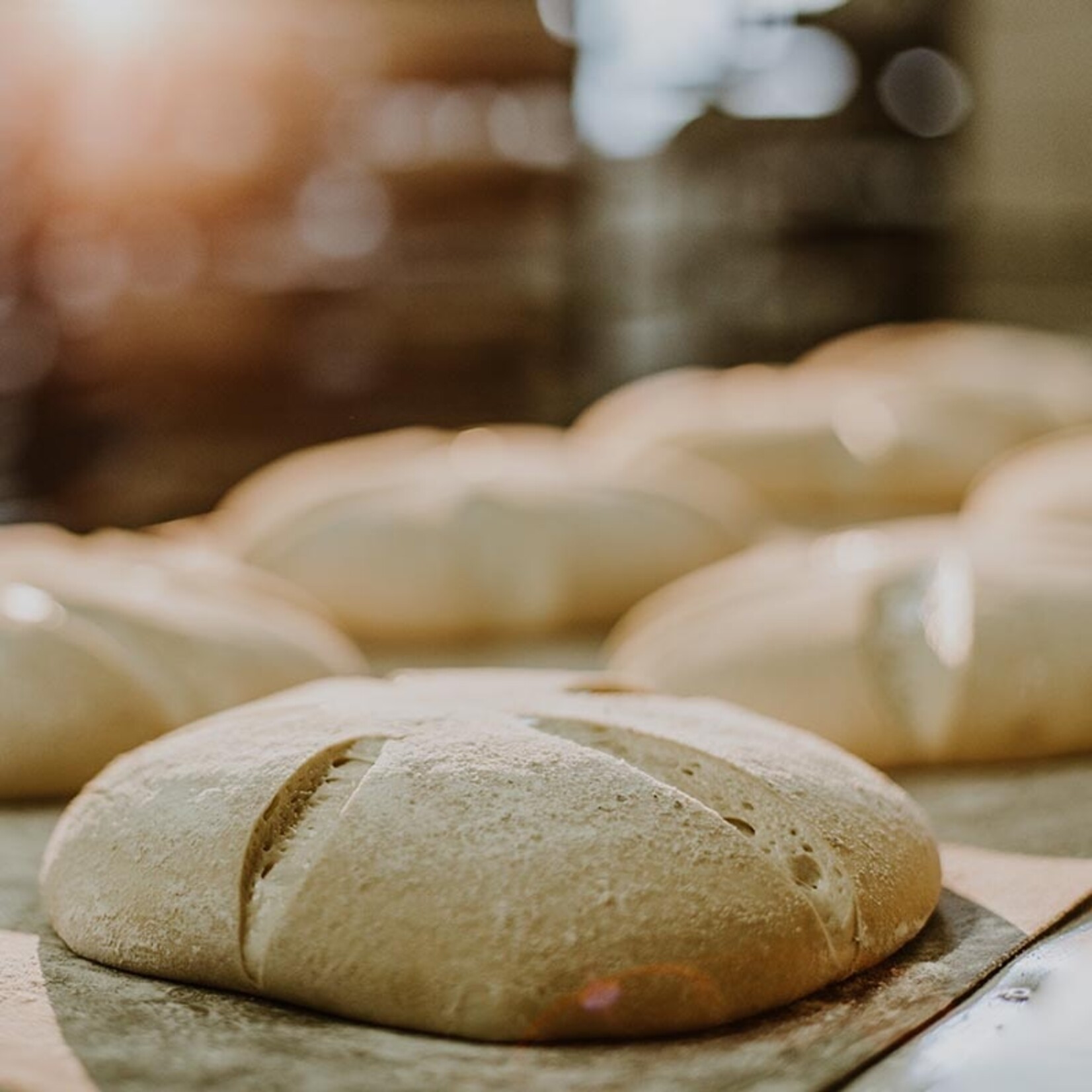 Cuisine Tech Cuisine Tech - Xanthan Gum - 1 lb