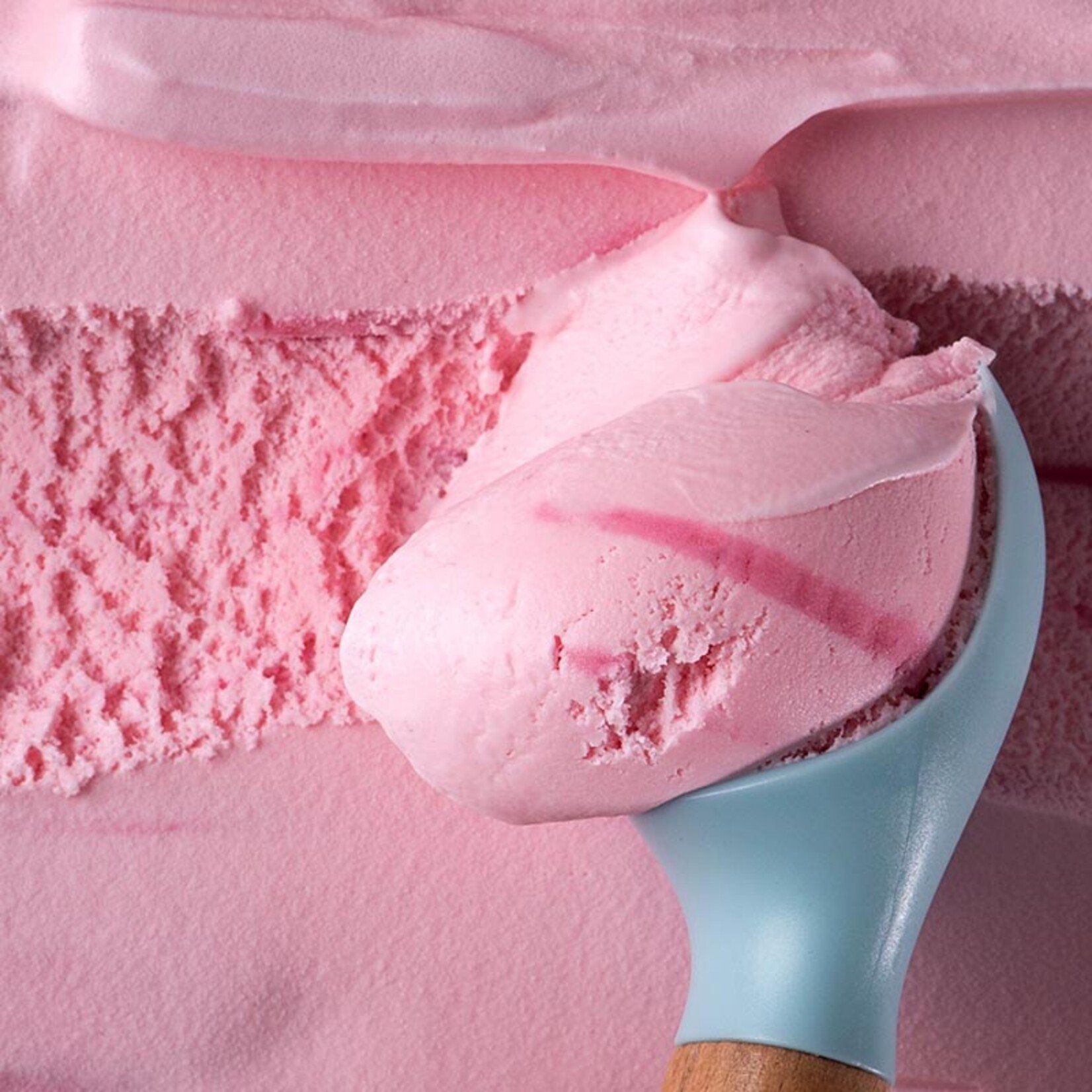 Gelatech Gelatech - Gelpan Cold-100 Cold Process Gelato Base - 2.2 lb