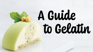 A Guide to Gelatin A Guide to Gelatin