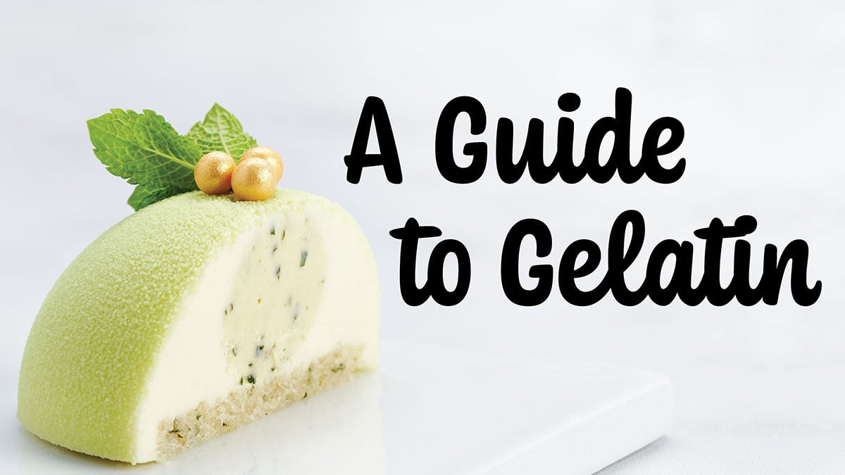 A Guide to Gelatin