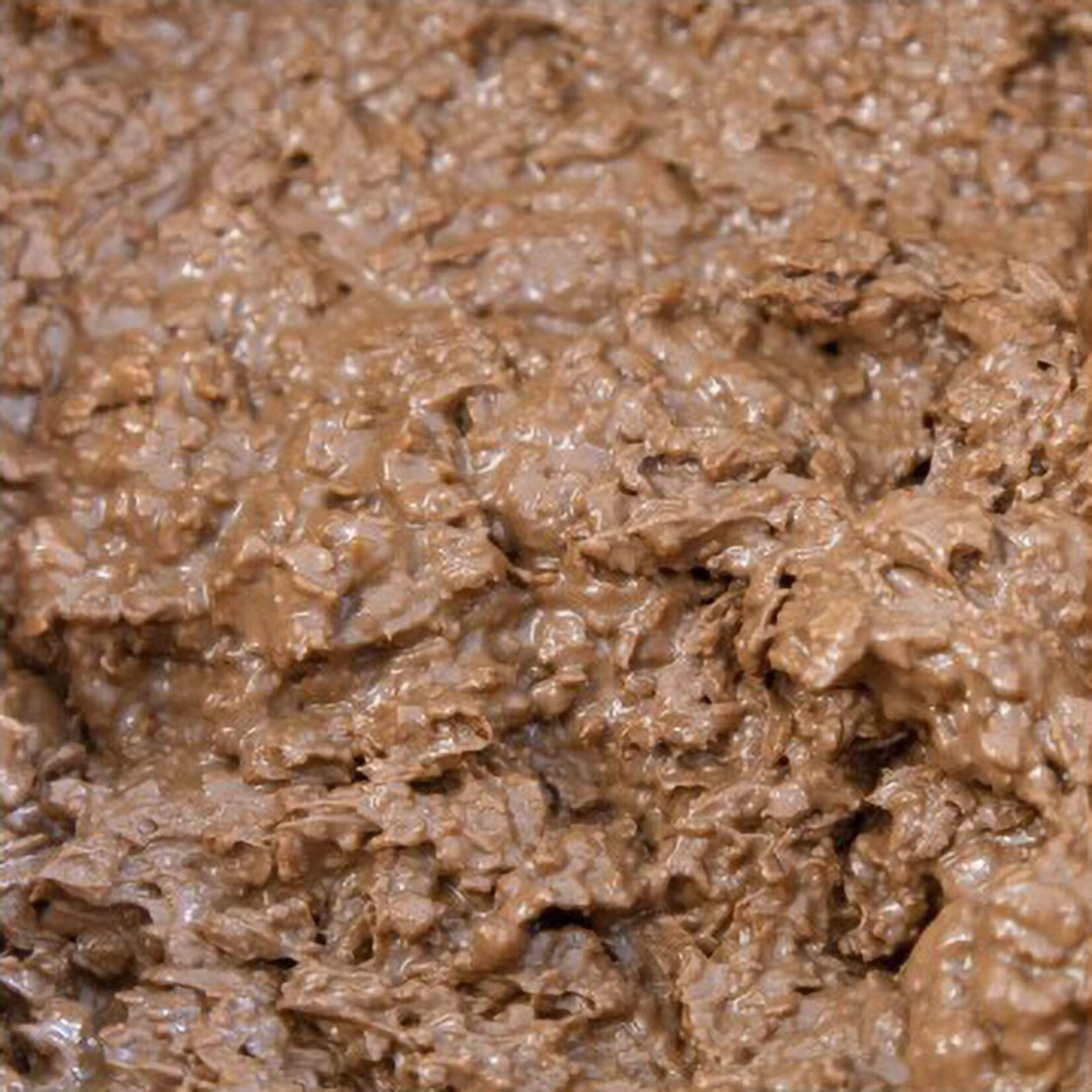 Irca Irca - Praline Delicrisp Noisette - 11lb