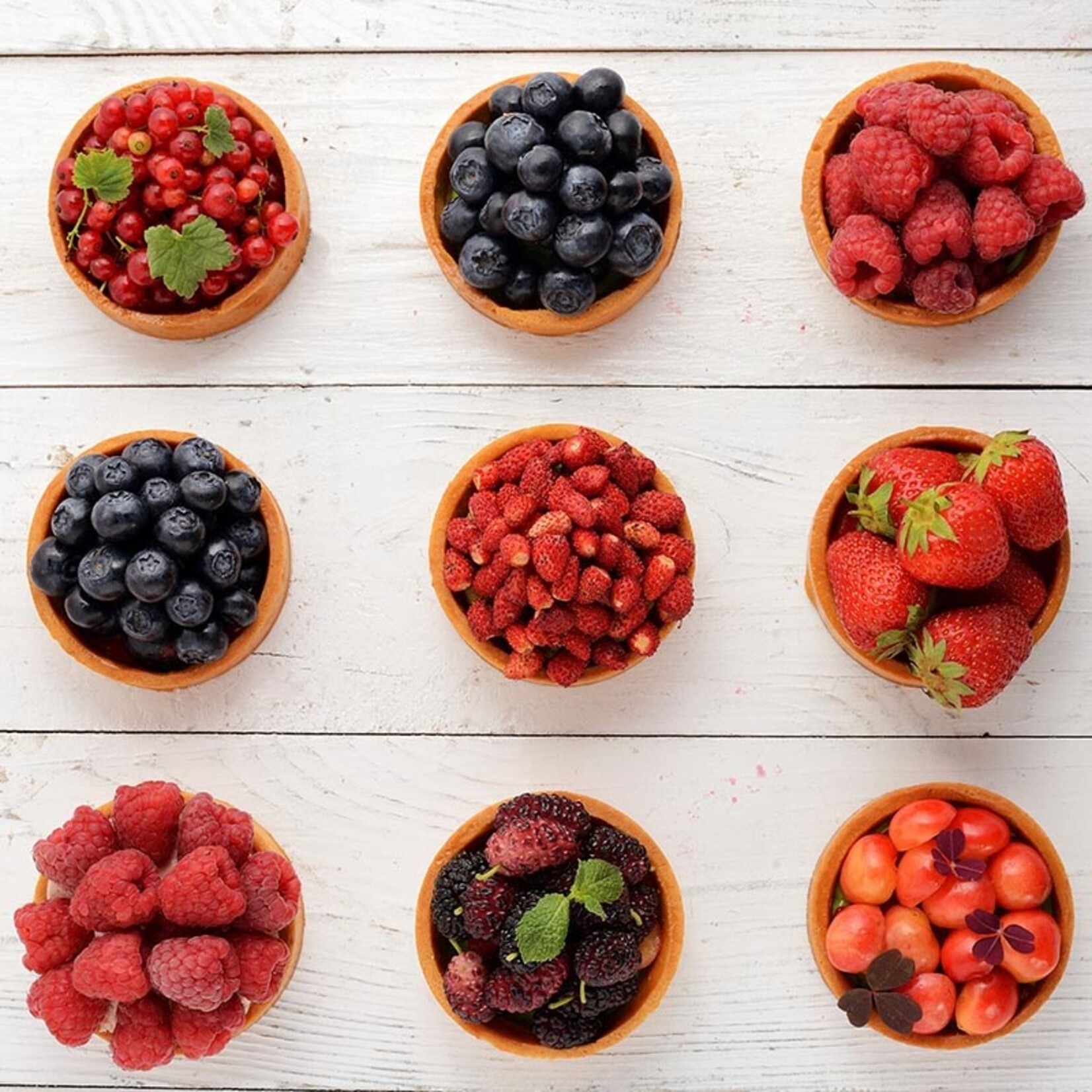 Moda Moda - Sweet Round Tart Shell - 3.1" (72 ct)