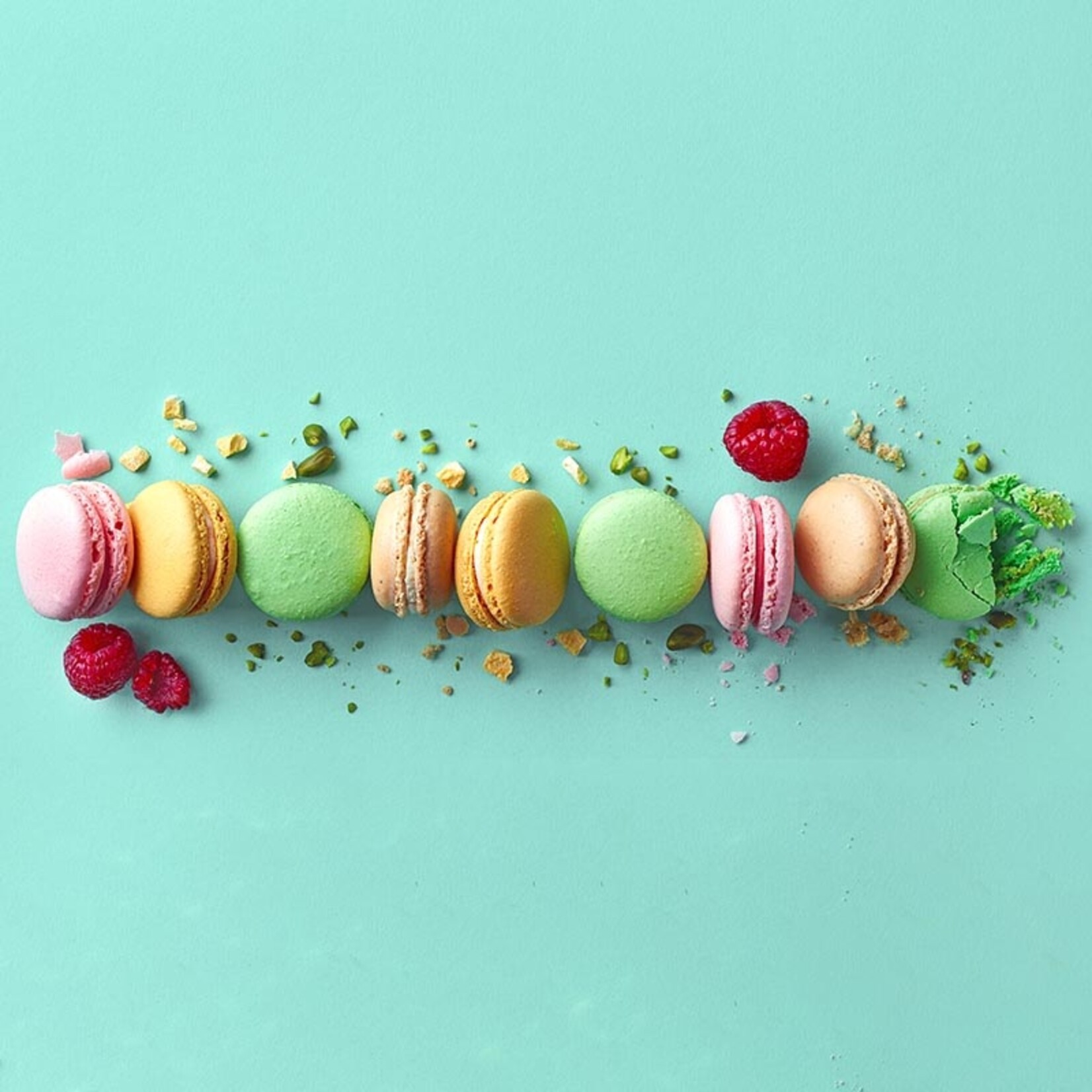 Sasa DeMarle Sasa DeMarle - Macarons, Full Sheet Silpat, Q12