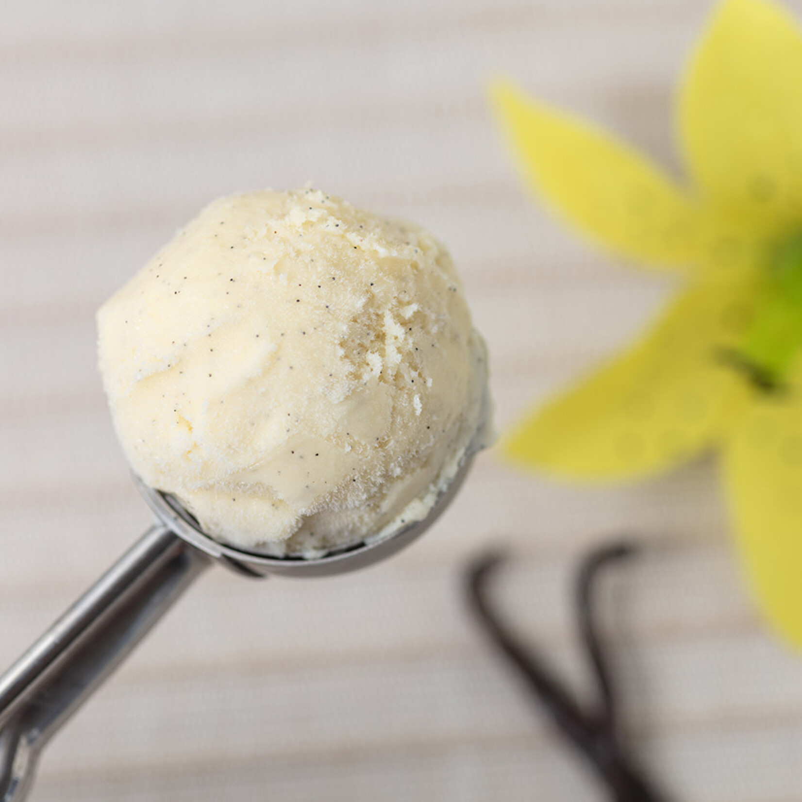 Sebalce Sebalce - Pure Madagascar Vanilla Caviar - 0.1kg