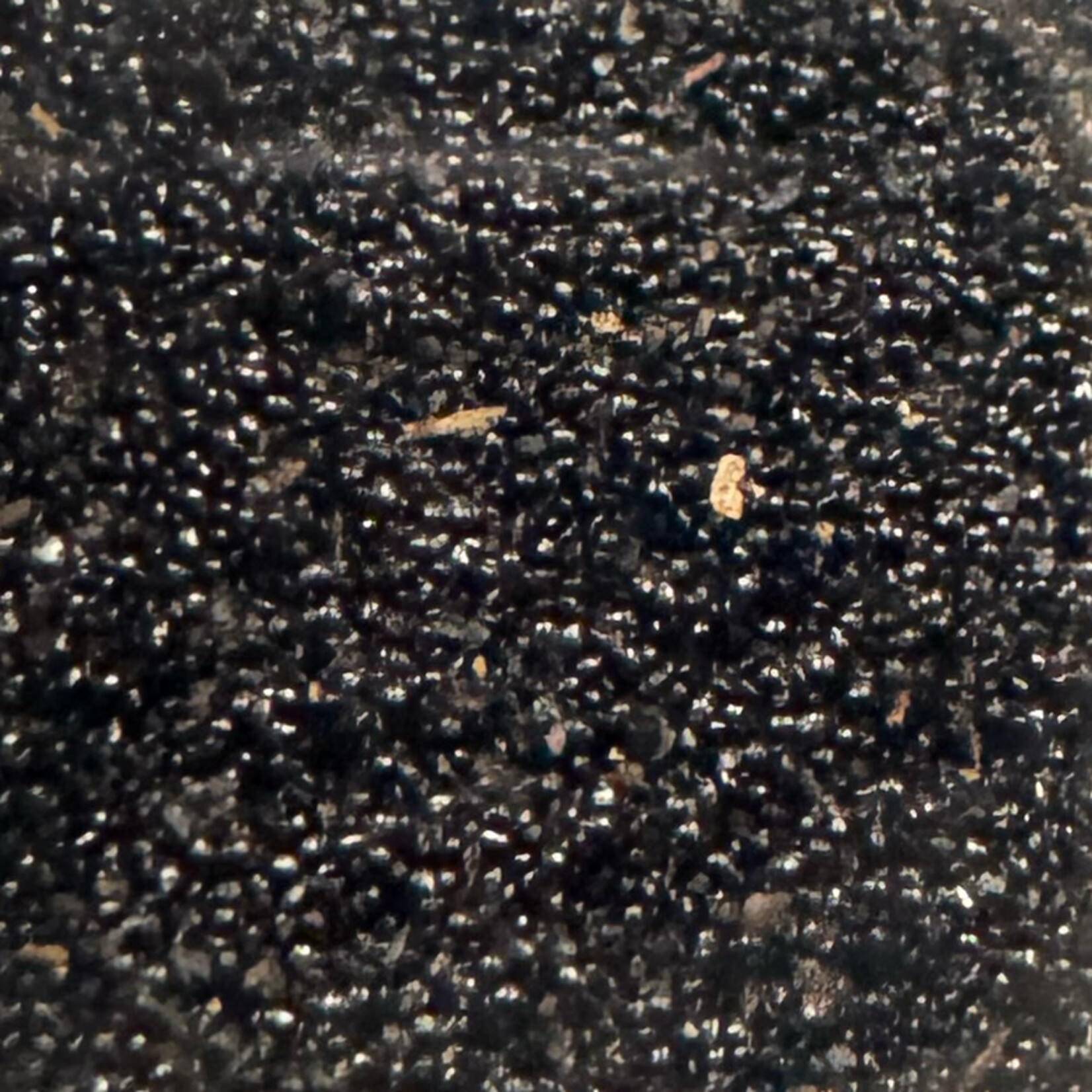 Sebalce Sebalce - Pure Madagascar Vanilla Caviar - 0.1kg