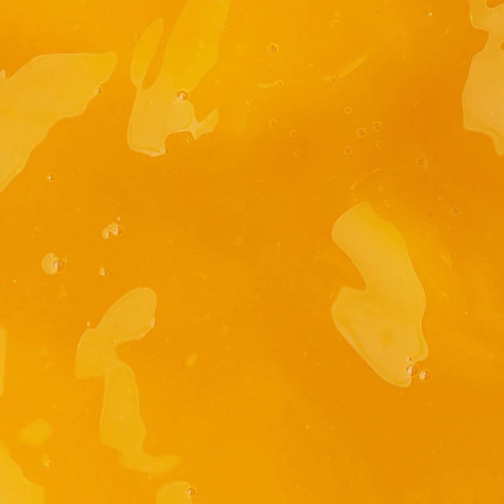 Ravifruit Ravifruit - Apricot Ambient Puree - 2.2 lb