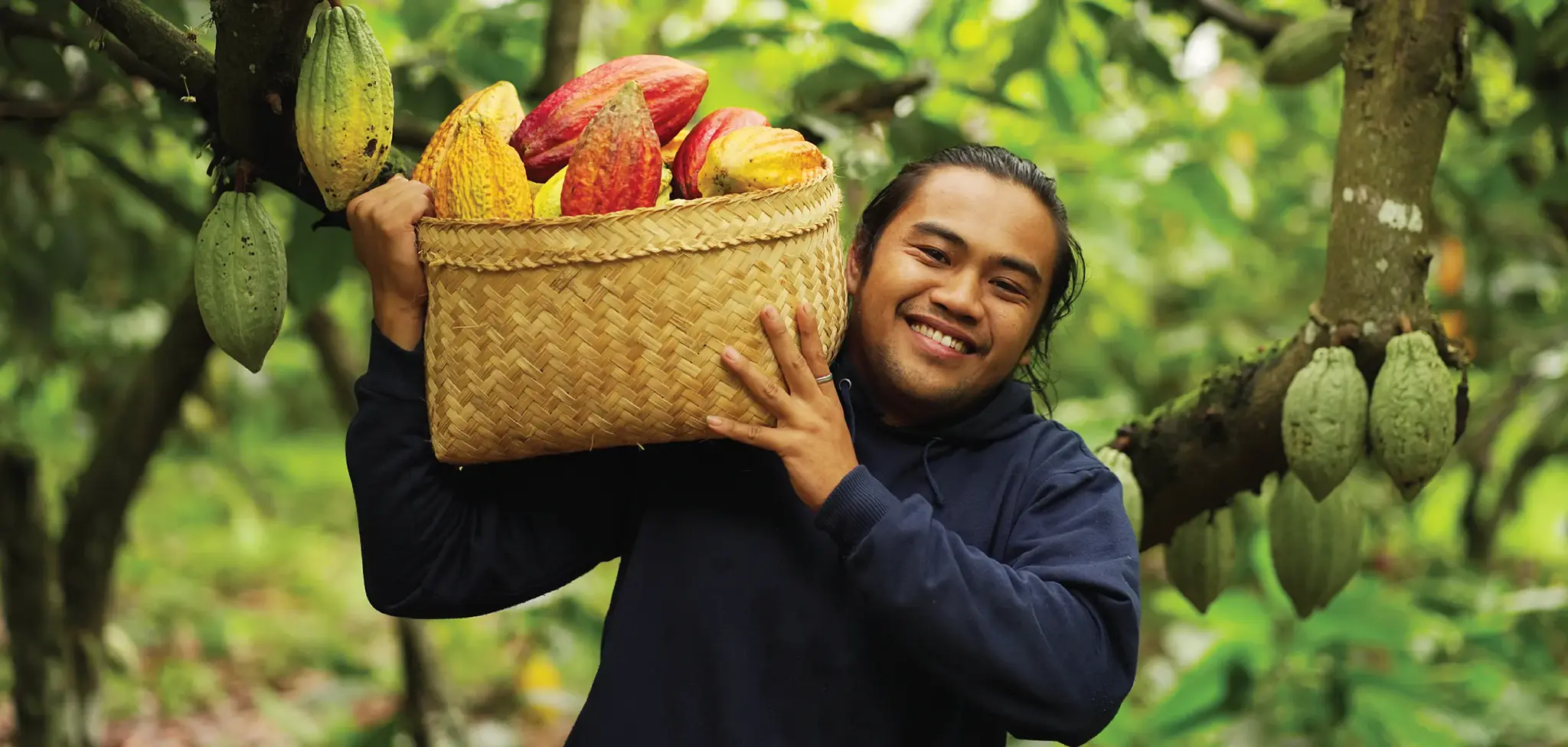 cacao-farmer