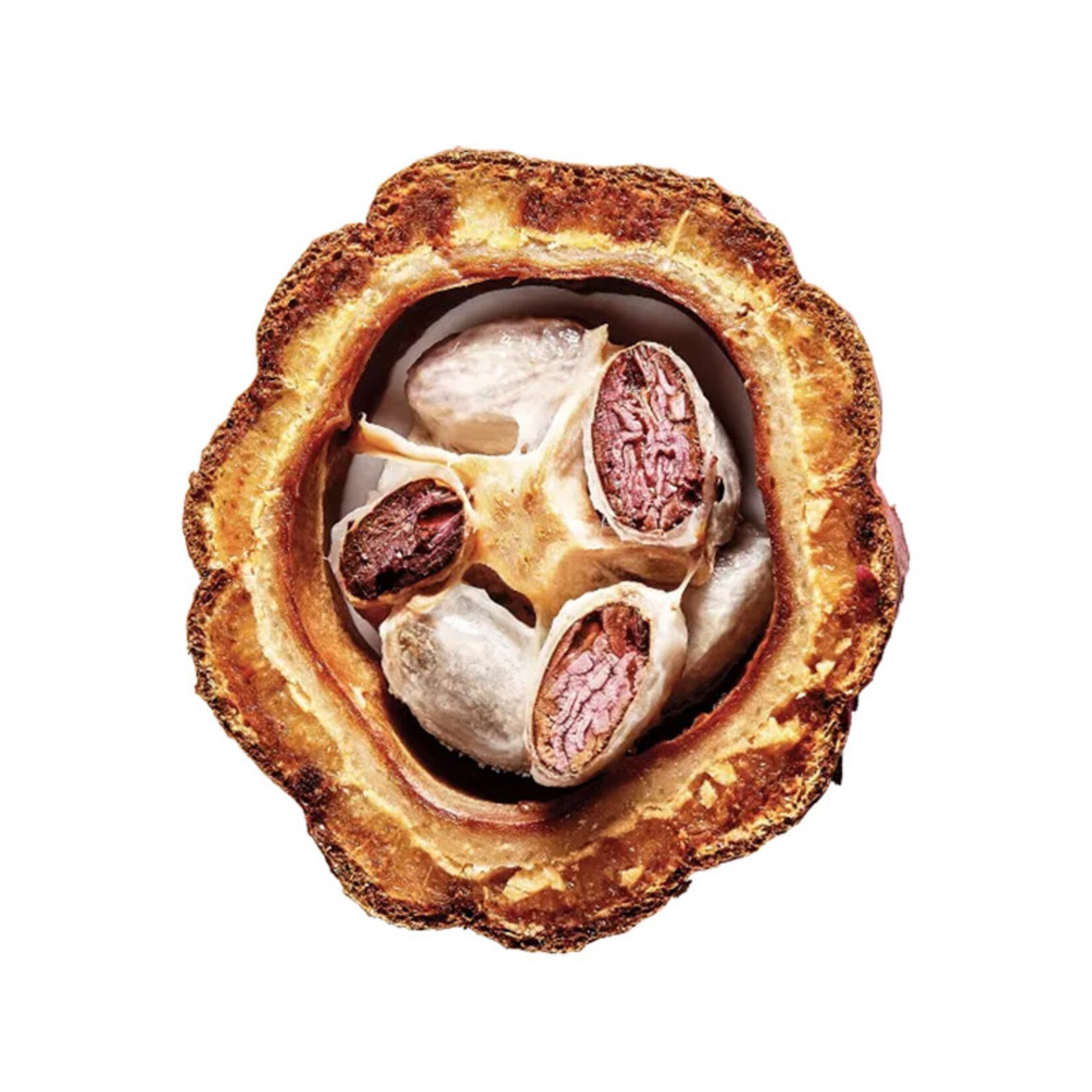 Callebaut Callebaut - Ruby Chocolate RB2 32.8% - 5.5 lb (box of 4)