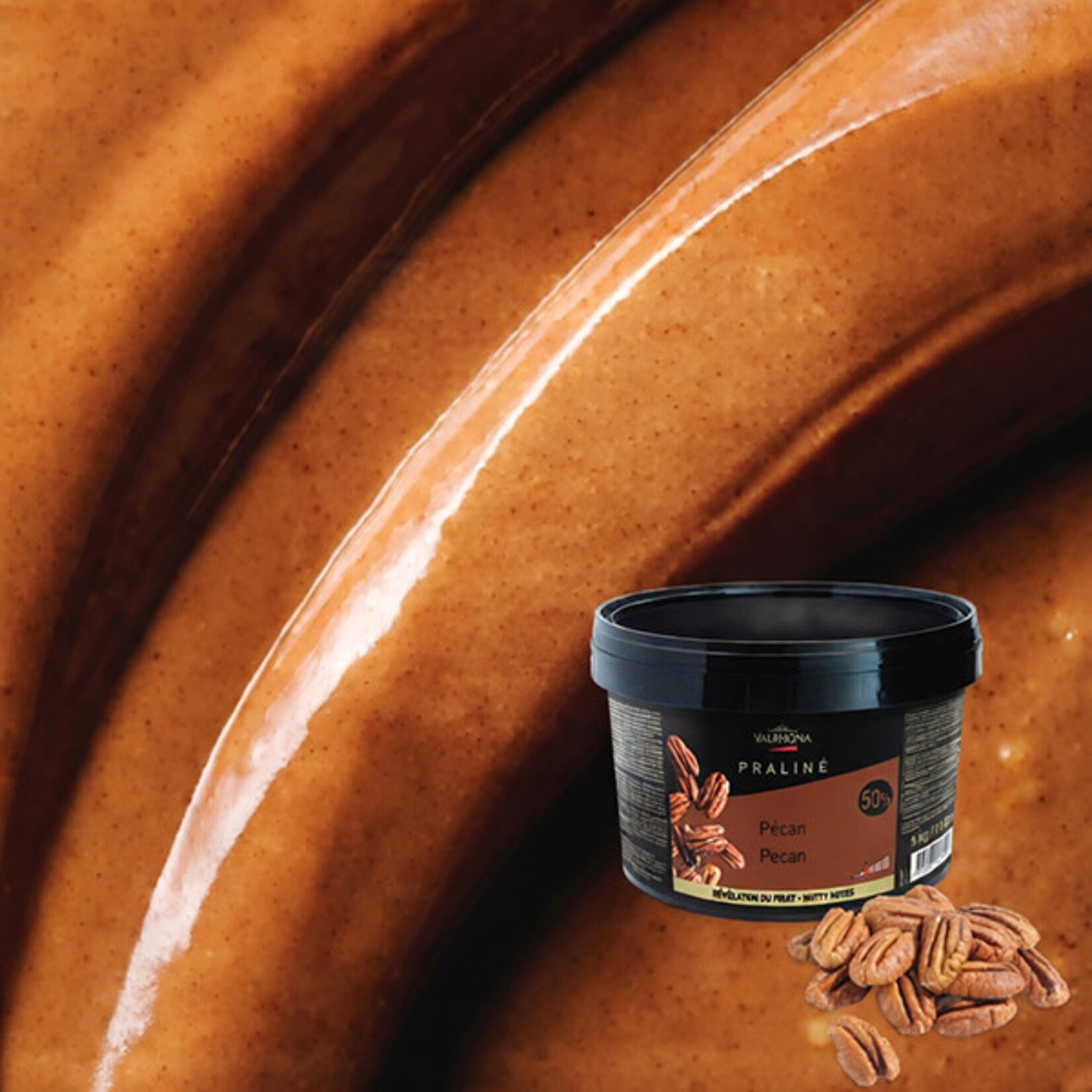 Valrhona Valrhona - Pecan Praline 50% - 11 lb