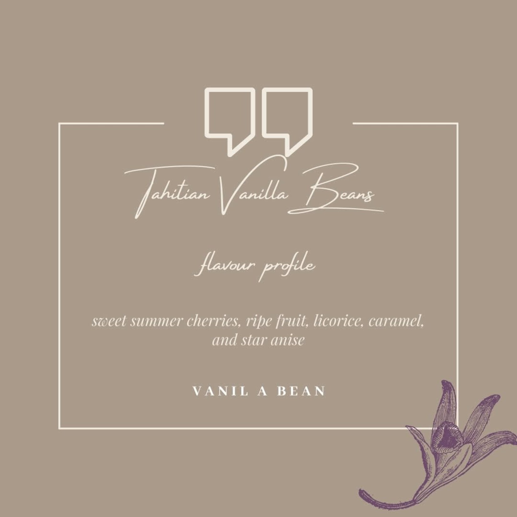 Vanil A Bean - Grade A Tahitian Vanilla Beans - 4.4 oz