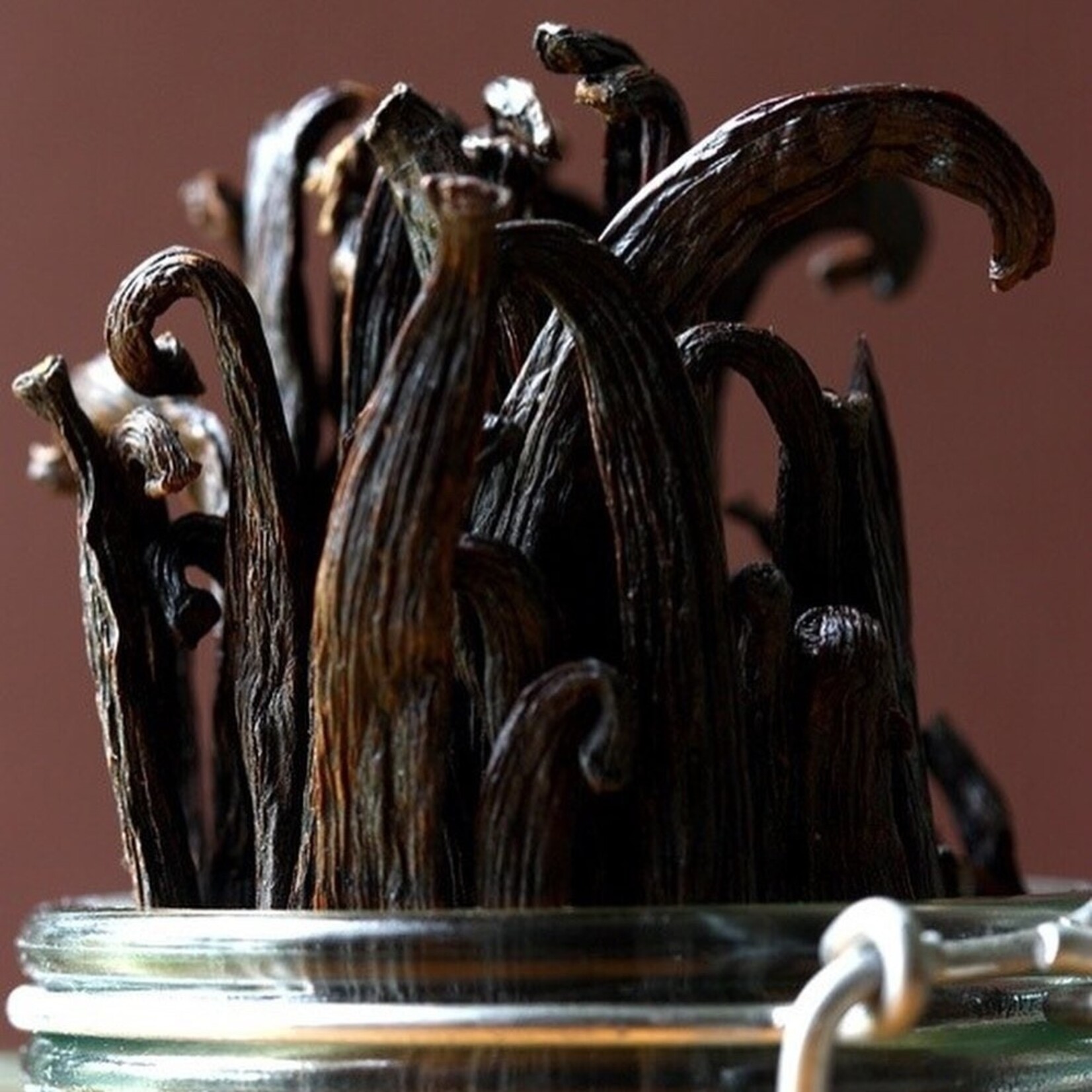 Vanil A Bean - Grade A Tahitian Vanilla Beans - 4.4 oz