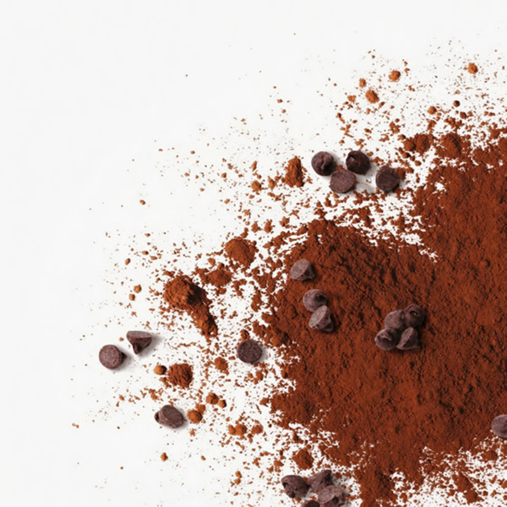 Valrhona Valrhona - Dairy-Free Dark Hot Chocolate Mix - 5 lb