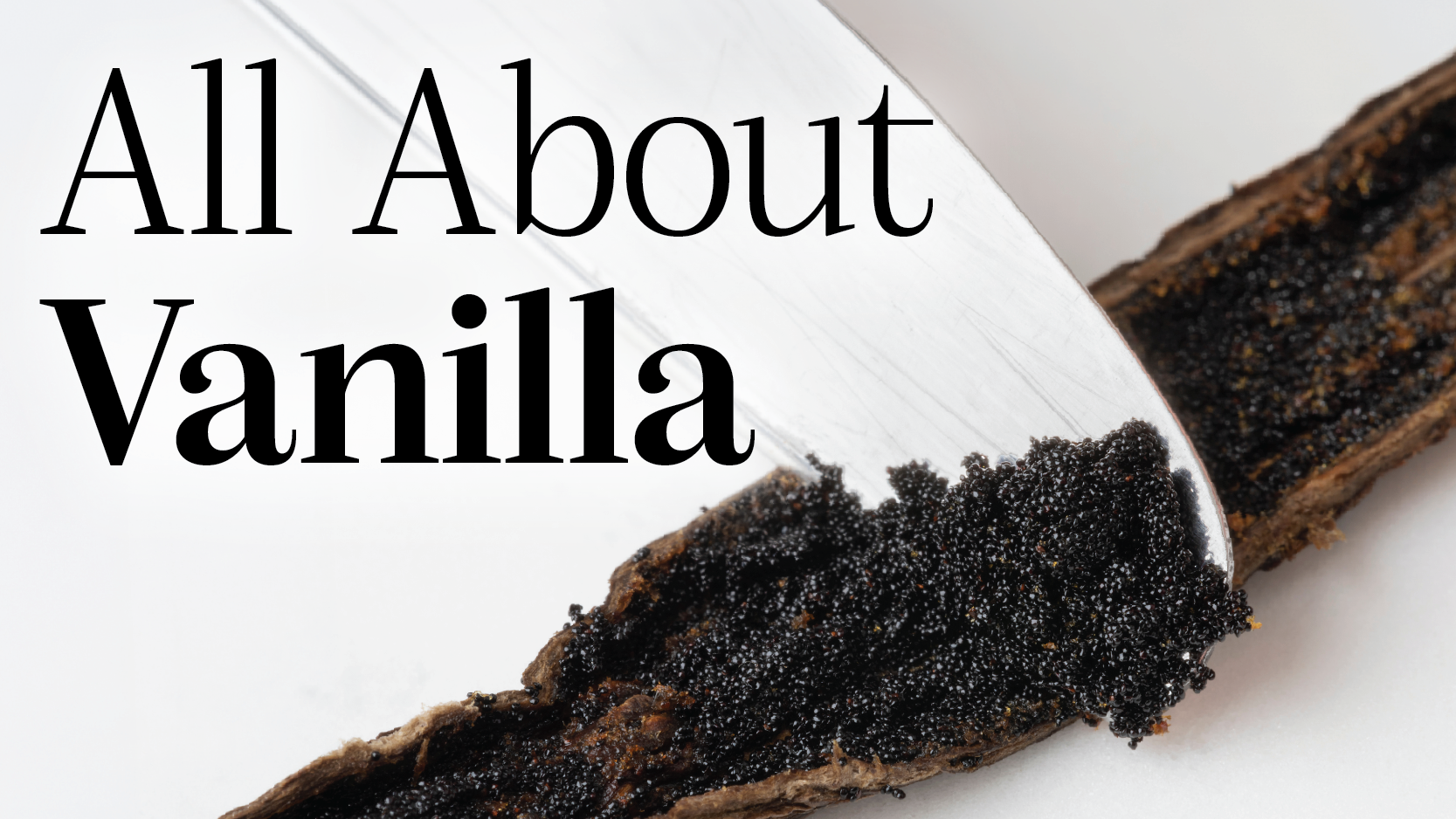 All About Vanilla: How to Pick the Best Type for Your Recipe