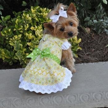 Doggie Design Doggie Design Emily Yellow Floral And Lace Dress With Matching Leash