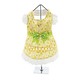 Doggie Design Doggie Design Emily Yellow Floral And Lace Dress With Matching Leash