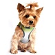 Doggie Design Doggie Design American River Choke Free Harness Ombre Collection Limestone Gray