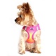 Doggie Design Doggie Design American River Choke Free Harness Ombre Collection Raspberry Pink And Orange