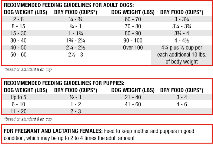 Stella & Chewys Stella & Chewys Raw Coated Grass-Fed Lamb Recipe