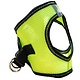 Doggie Design Doggie Design American River Choke Free Harness Iridescent Green