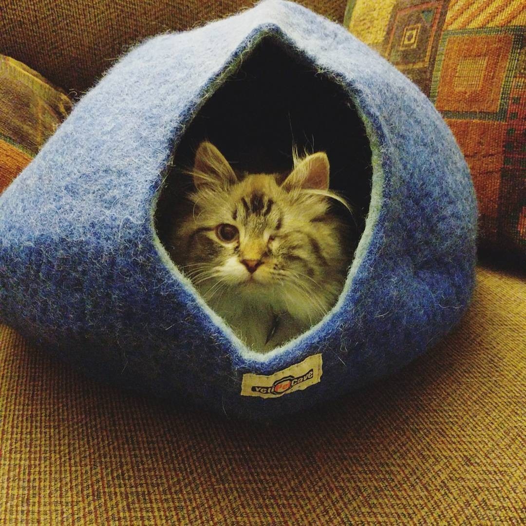 Yeti Yeti Pet Cave Blue