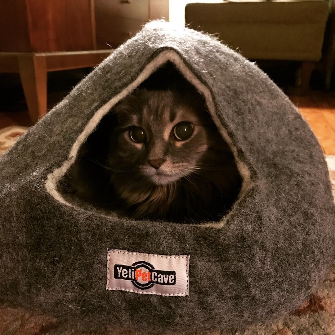 Yeti Yeti Pet Cave Charcoal