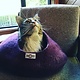 Yeti Yeti Pet Cave Burgundy