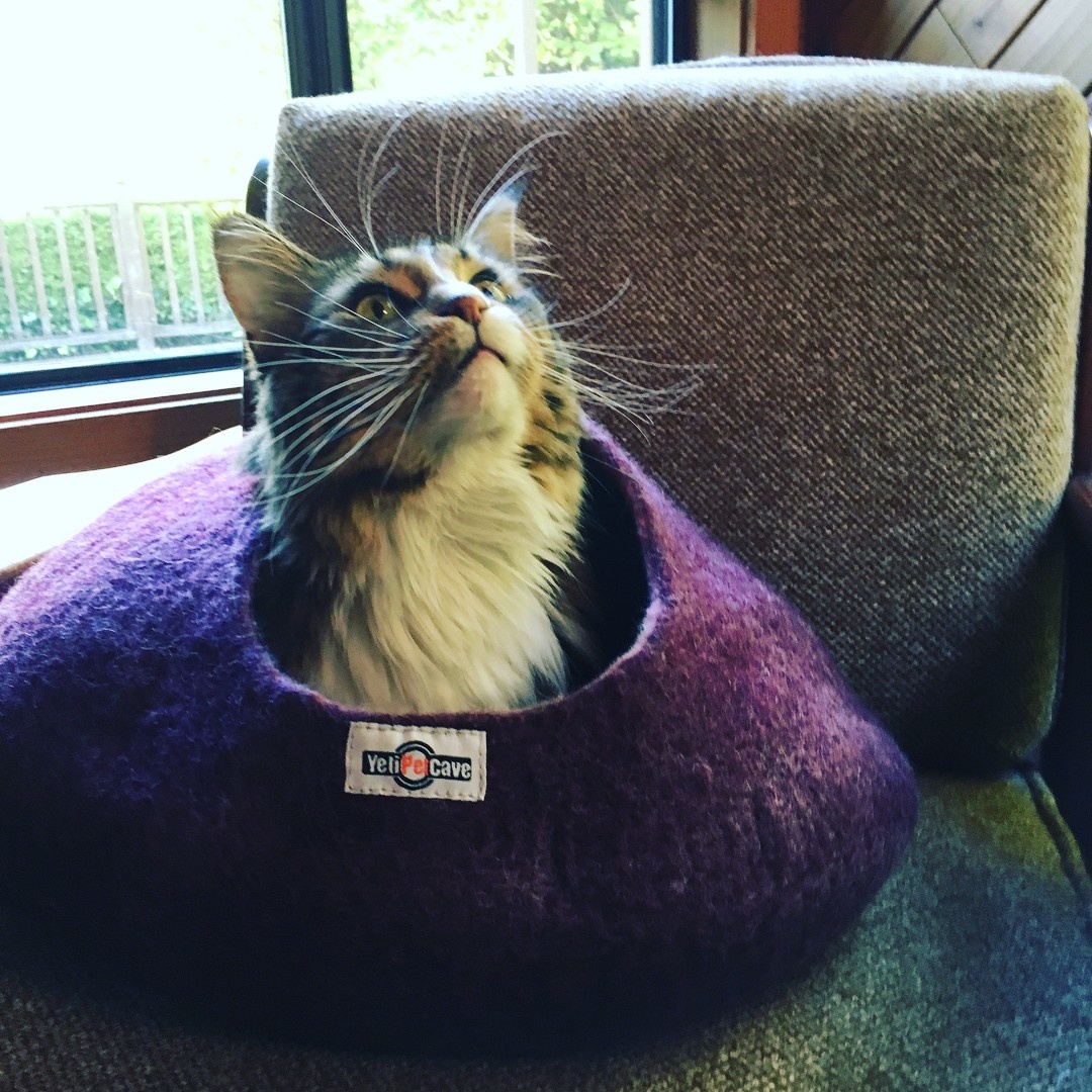Yeti Yeti Pet Cave Burgundy