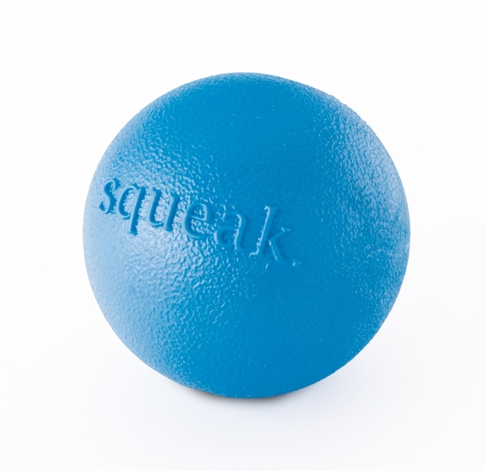 Planet Dog Orbee-Tuff Squeaker Ball, Blue