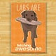 Pop Doggie Pop Doggie Chocolate Lab Magnet, Labs Are Fetching Awesome