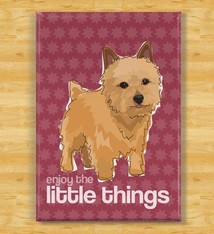 Pop Doggie Pop Doggie Norwich Terrier Magnet, It's The Little Things
