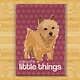 Pop Doggie Pop Doggie Norwich Terrier Magnet, It's The Little Things