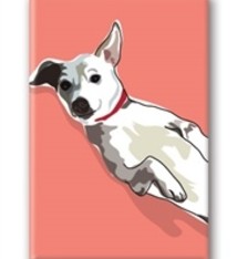 Paper Russells Jack Russel Terrier, With Belly Up Fridge Magnet