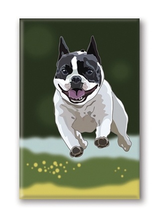 boston terrier store