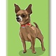 Paper Russells Chihuahua, Brown Fridge Magnet