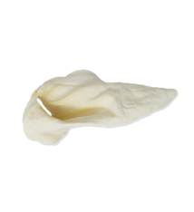 Home Range Home Range Large Beef Ears