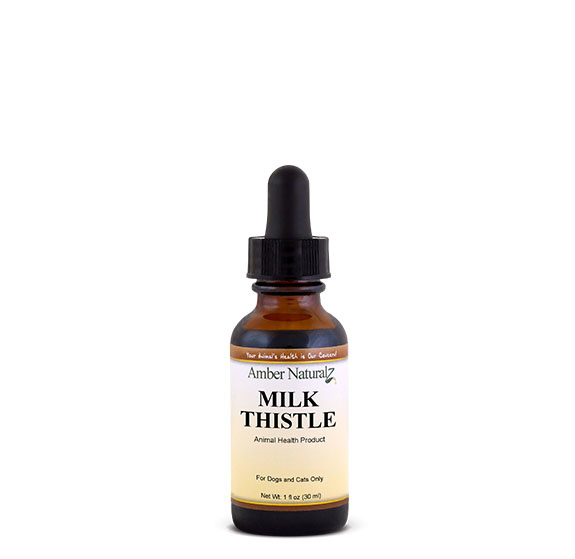 Amber Naturalz Amber Naturalz Milk Thistle 1oz