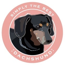 Paper Russells Simply The Best Black Dachshund Car Magnet