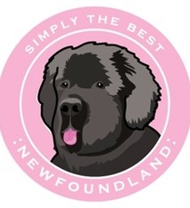 Paper Russells Simply The Best Newfoundland Car Magnet